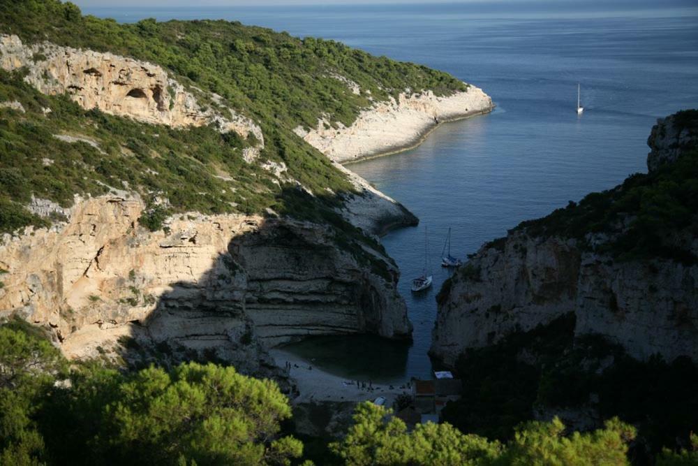 Vranicic Vis